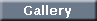 Return to photo gallery button