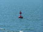 _0695_small.jpg