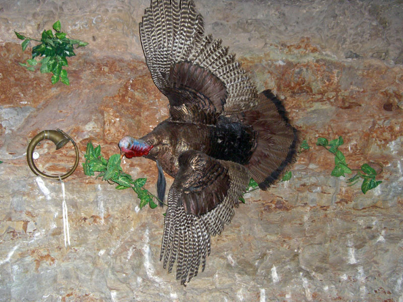 3200TurkeyInCave