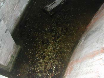 Old Exchange (6)